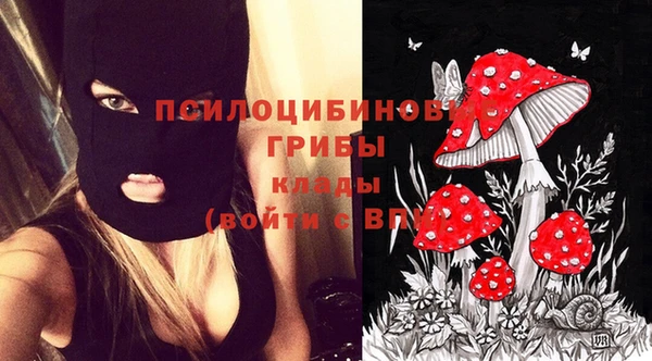 трава Алзамай