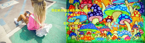 трава Алзамай