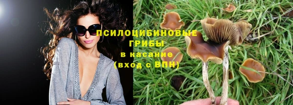 марки nbome Абаза