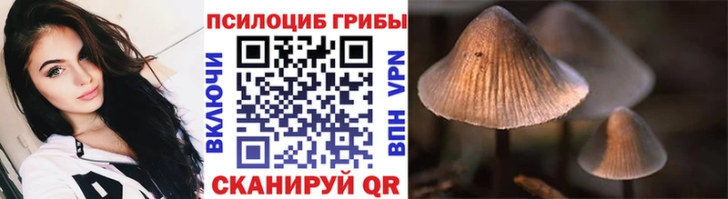 Псилоцибиновые грибы GOLDEN TEACHER Тотьма